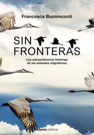 Sin fronteras, Francesca Buoninconti - ALIANZA