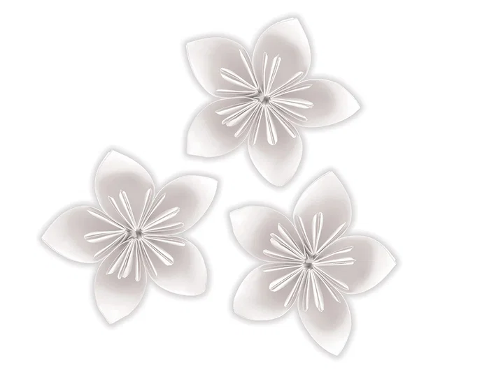 Liderpapel Bloc trabajos manuales cartulina 240x315mm 10 hojas color blanco