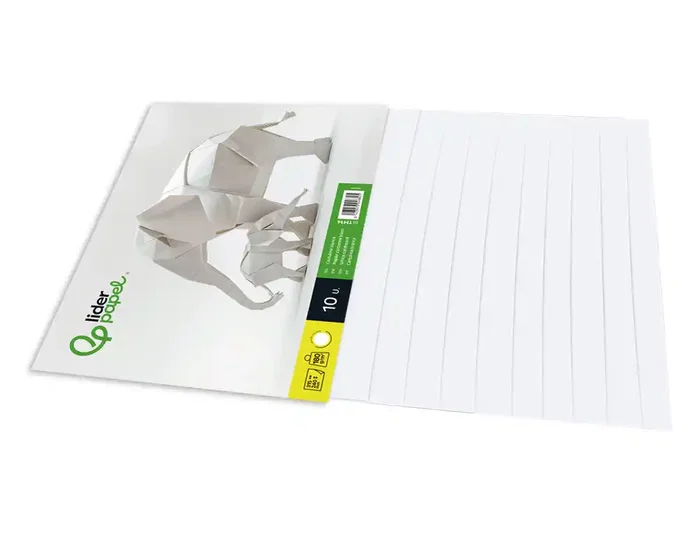 Liderpapel Bloc trabajos manuales cartulina 240x315mm 10 hojas color blanco