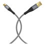 EFB Elektronik Cable USB-A a USB-C USB-AC-00004 60W 3m Gris