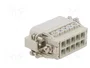 ILME CDAM10 Conector HDC Macho de 10 Pines
