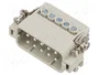 ILME CDAM10 Conector HDC Macho de 10 Pines