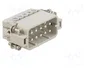 ILME CDAM10 Conector HDC Macho de 10 Pines