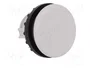 Eaton M22-B Tapón ciego gris 216388