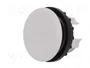 Eaton M22-B Tapón ciego gris 216388