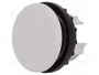 Eaton M22-B Tapón ciego gris 216388