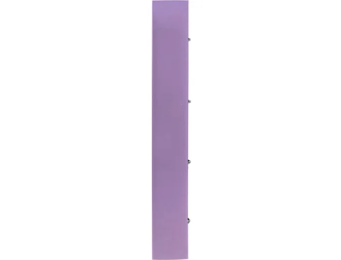Liderpapel Carpeta con recambio A4 lavanda con 4 anillas mixtas 25mm