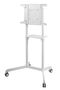 Vivolink Soporte Móvil VLFS3770 Giratorio Blanco, VESA 600x400, Pantallas 37"-70", hasta 70 kg