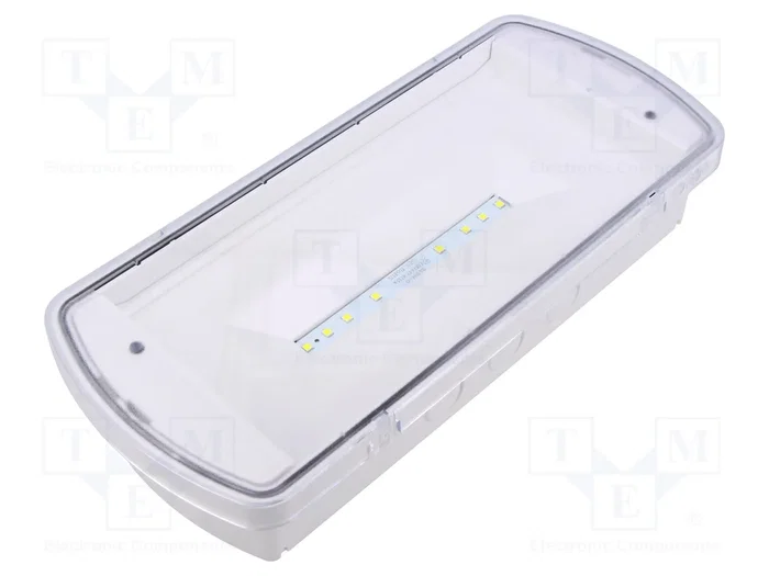 EATON ELECTRIC Marco de iluminación de emergencia LED SafeLite IP65 EATON ELECTRIC Marco de iluminación de emergencia LED SafeLite IP65