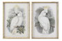 DKD Home Decor Cuadro Cristal Bambú Cacatua Surtido de 2 unidades