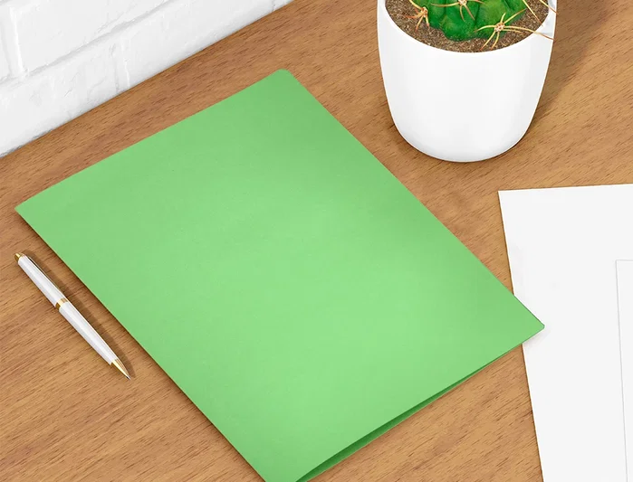 Liderpapel Subcarpeta Folio Verde Intenso 180g/m2