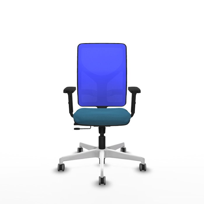 PIQUERAS Y CRESPO Silla de oficina Motilla con mecanismo Sincro/Traslack, Verde petróleo y Azul PIQUERAS Y CRESPO Silla de oficina Motilla con mecanismo Sincro/Traslack, Verde petróleo y Azul