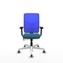 PIQUERAS Y CRESPO Silla de oficina Motilla con mecanismo Sincro/Traslack, Verde petróleo y Azul