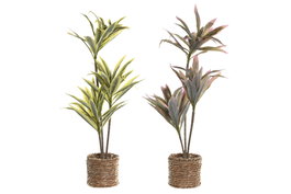 DKD Home Decor Set de 2 Plantas de Fibra y PE Verde 30x30x75 cm