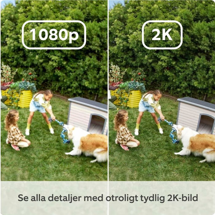 Videocámara de Vigilancia Amazon B0D23Y1N3Y