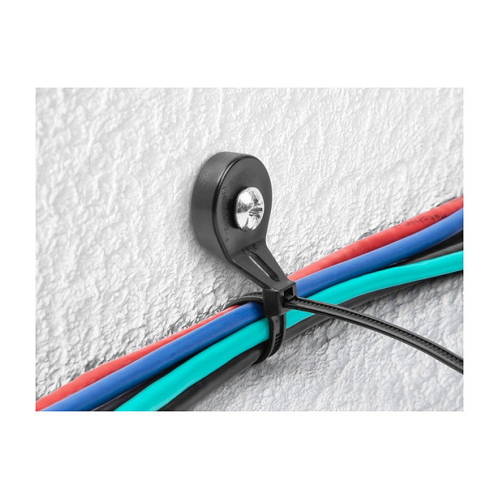 DeLOCK 18915 Brida atornillada con ojal de fijación 180 x 6 mm negro 100 unidades