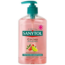 SANYTOL Recambio Jabón Líquido Antibacteriano para Cocina Eco, 500 ml