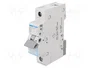 HAGER MBN110E Interruptor magnetotérmico 10A 1 Polo 6kA