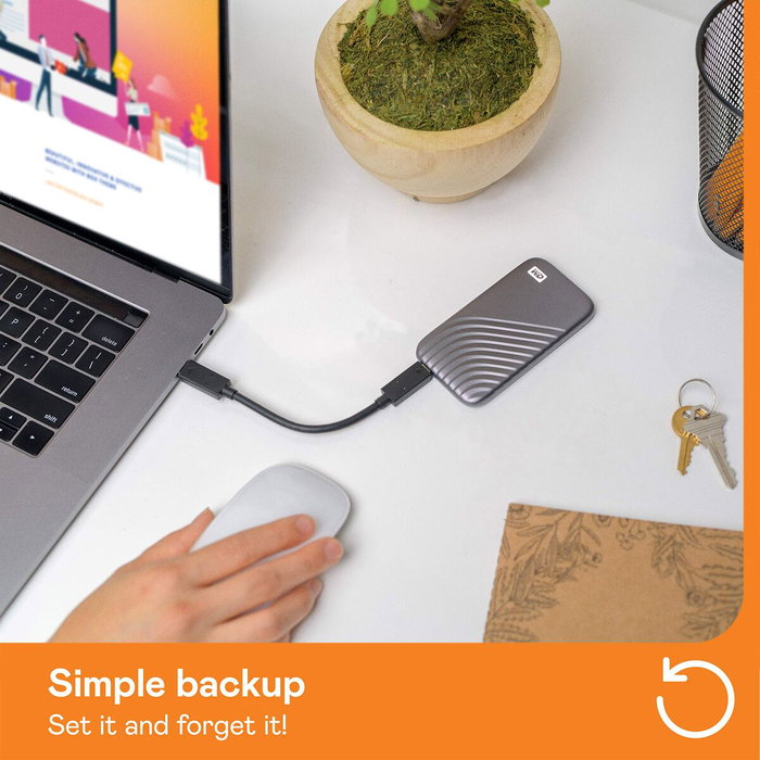 Western Digital My Passport 4 TB Gris