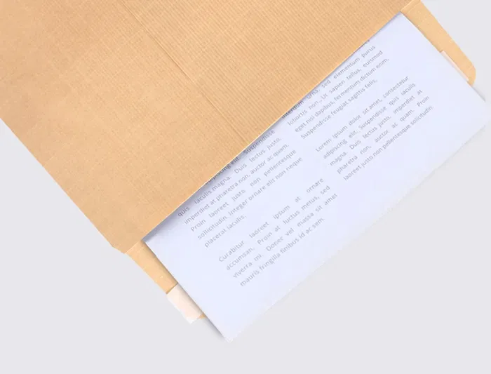 Liderpapel Sobre Bolsa Kraft N.5 Din C5 162x229 mm Tira de Silicona Caja de 250 Unidades