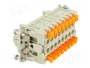 ILME CSHF 16 Conector HDC Hembra de 16 Pines