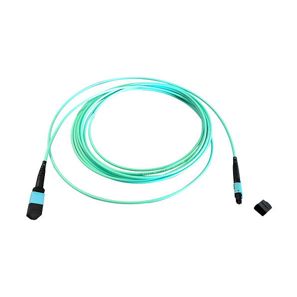 EFB Elektronik MTP(F)-MTP(F) Patchkabel OM3 12 Fasern Typ B LSZH aqua 2m EFB Elektronik MTP(F)-MTP(F) Patchkabel OM3 12 Fasern Typ B LSZH aqua 2m