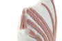 DKD Home Decor Cojin Urban Blanco Rosa 45 x 45 cm (2 Unidades) Poliester