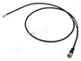 MURRELEKTRONIK Cable para sensores M12 hembra 5 pines 1m