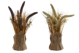 DKD Home Decor Planta PE Lino Uraria Crinita Surtido de 2 Colores