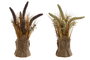 DKD Home Decor Planta PE Lino Uraria Crinita Surtido de 2 Colores