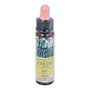 PLANTIS Flores de Bach Achicoria Nº 08 10 ml