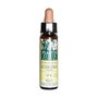PLANTIS Flores de Bach Achicoria Nº 08 10 ml