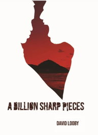 A billion sharp pieces, David Looby - YBERNIA EDITORIAL