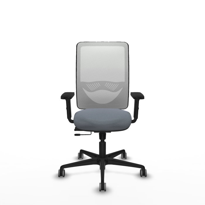 PIQUERAS Y CRESPO Silla de oficina Zulema con mecanismo Sincro/Traslack, Gris y Blanco PIQUERAS Y CRESPO Silla de oficina Zulema con mecanismo Sincro/Traslack, Gris y Blanco