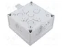 SPELSBERG ABOX-060-AB-6 Caja de conexiones IP66 gris