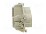 ILME CDF40 Plantilla de Contacto HDC Hembra 40 Pines