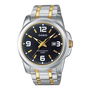 Reloj Hombre Casio MTP-1314SG-1A Plateado