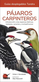 Tundra, Pájaros Carpinteros - Tundra
