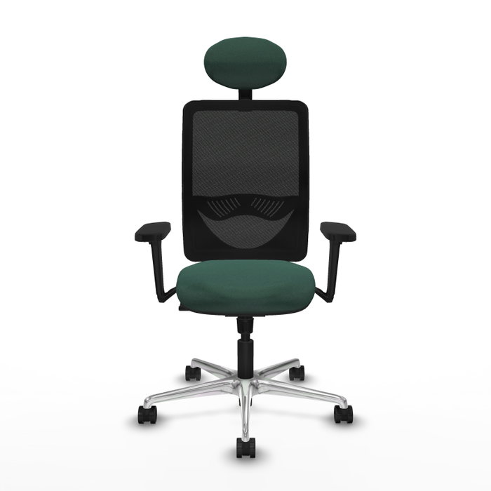 PIQUERAS Y CRESPO Silla de oficina Zulema con mecanismo Sincro, Verde botella y Negro PIQUERAS Y CRESPO Silla de oficina Zulema con mecanismo Sincro, Verde botella y Negro