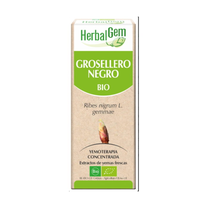 Herbalgem Grosellero Negro Macerado Glicerinado 50 ml Herbalgem Grosellero Negro Macerado Glicerinado 50 ml