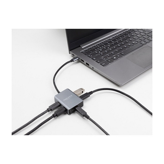 DeLOCK Concentrador USB Type-C 10 Gbps de 4 Puertos 64249