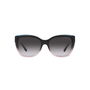 Gafas de Sol Mujer Emporio Armani EA 4198