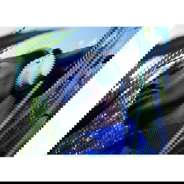 Bose QuietComfort Ultra Auriculares (880066-0200) - Blanco Bose QuietComfort Ultra Auriculares (880066-0200) - Blanco