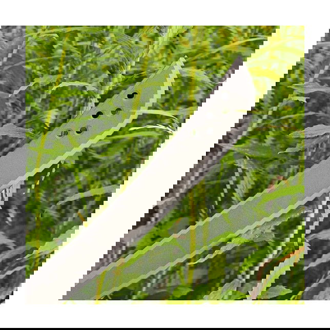 Fiskars Machete Solid Acero Inoxidable Longitud Hoja 38 cm 700 mm Peso 990 g Mango Ergonómico Naranja para Jardinería y Aventura