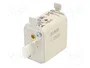 ETI POLAM Fusible de Cartucho NH00 32A 500VAC