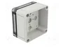 SPELSBERG TK PC Carcasa Universal de Policarbonato Gris
