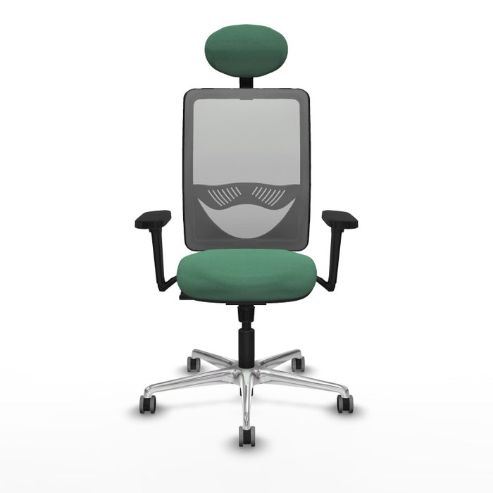 PIQUERAS Y CRESPO Silla de oficina Zulema con Mecanismo Sincro, Brazos 3D y Cabecero Fijo, Verde esmeralda/Gris PIQUERAS Y CRESPO Silla de oficina Zulema con Mecanismo Sincro, Brazos 3D y Cabecero Fijo, Verde esmeralda/Gris