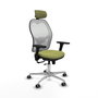 PIQUERAS Y CRESPO Silla de oficina Jorquera con mecanismo Sincro/Traslack Verde oliva y Blanco