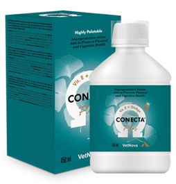 Vetnova Conecta Plus 450ml Solución Oral DHA/EPA Vitamina B Ginkgo Biloba Perros Gatos