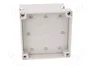 FIBOX MNX Carcasa Universal de Policarbonato Gris